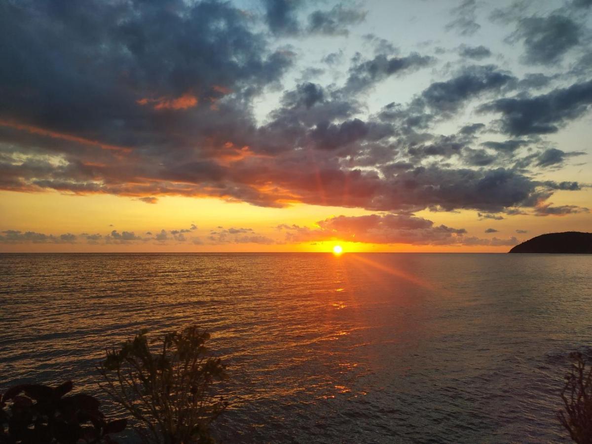 Apartmani Orange Dreams Sutomore Dış mekan fotoğraf